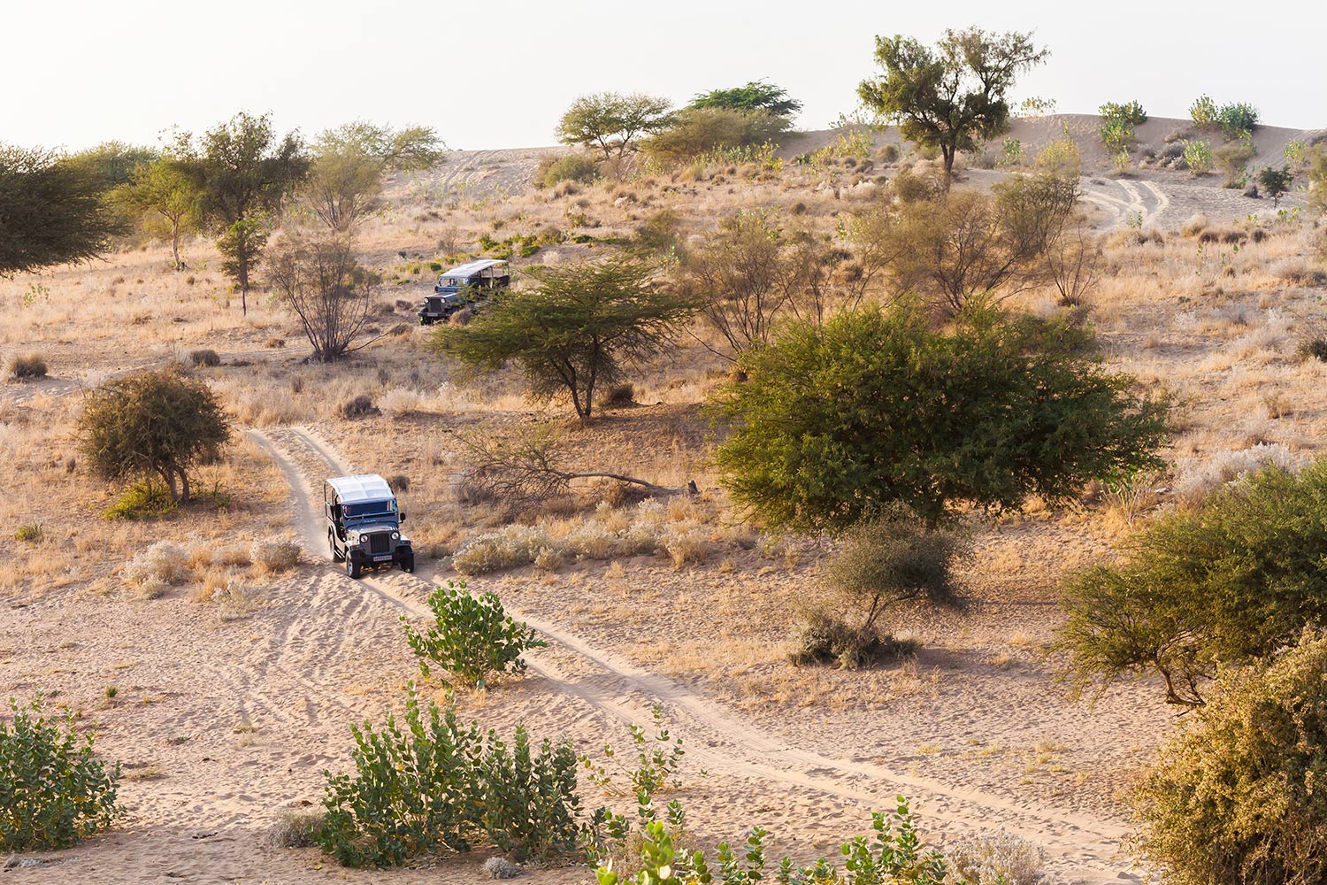 Jeep Safari