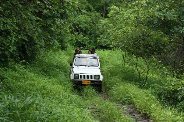 Jeep Safari